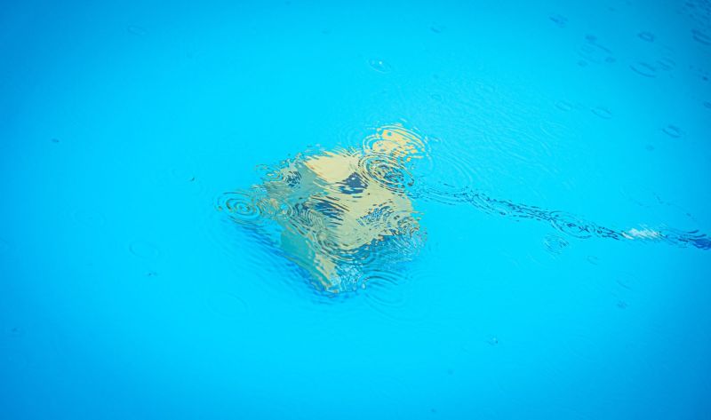 535634129_1358695229596621_1326720850896017649_n