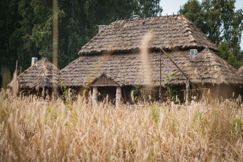 514335878_1346634854135992_6823410157512411618_n