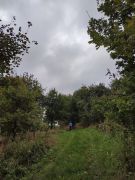 IMG_20251001_104930