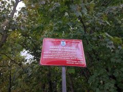IMG_20251001_105046