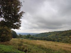 IMG_20251001_105246