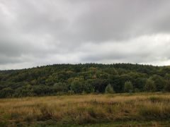 IMG_20251001_105252