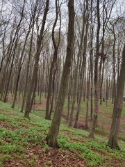IMG_20250402_110346