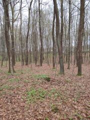 IMG_20250402_111930