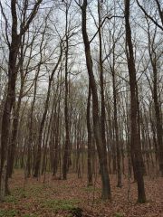IMG_20250402_111932