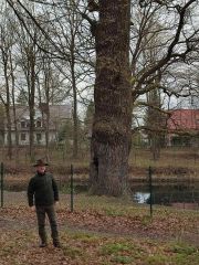 IMG_20250402_112440