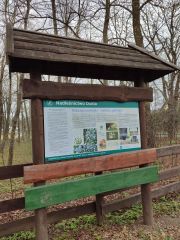 IMG_20250402_112723