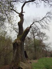 IMG_20250402_114619