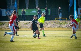 DSC01528-Poprawione-Szum