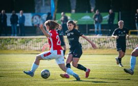 DSC01536-Poprawione-Szum