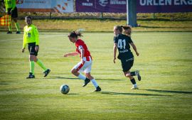 DSC01608-Poprawione-Szum