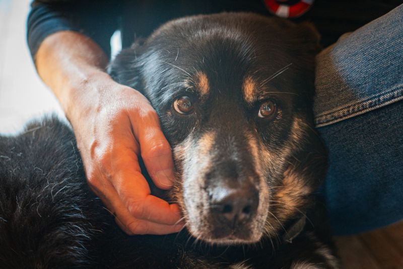 514352485_1344711367661674_8714222650995582053_n