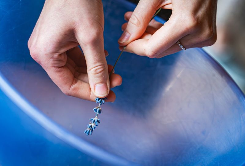 528852116_1344761844323293_1923142437996435017_n