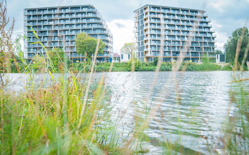 515494248_1335545805244897_8878417404362359745_n