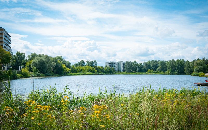 523601161_1335587258574085_648881839413517282_n