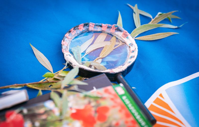 524341189_1335602051905939_1875298284745267426_n