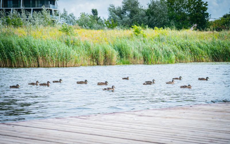 524497990_1335545995244878_5875423814148586444_n