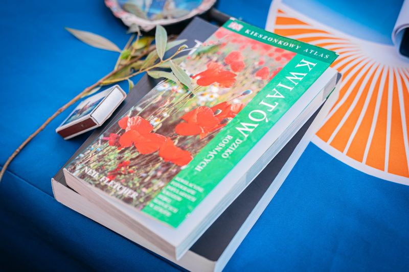 524591462_1335602055239272_7492831625102340261_n