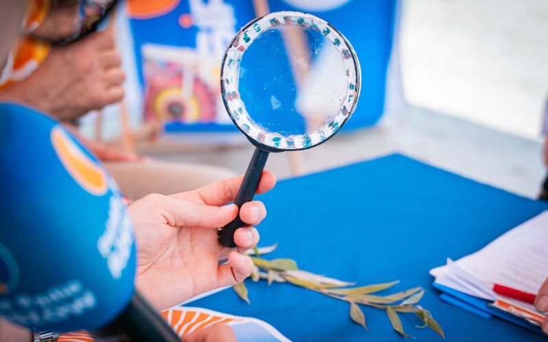 524701851_1335602031905941_7829038434984784107_n