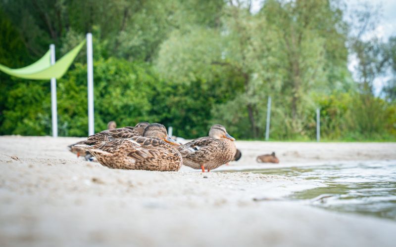 524894992_1335545055244972_2234381873267619727_n