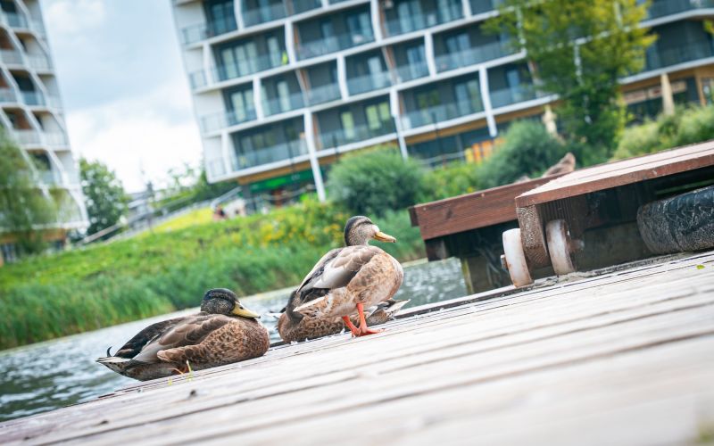 525669836_1335544971911647_7403005170460390608_n