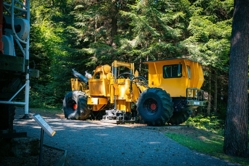 520130833_1331147665684711_9027166978997609292_n