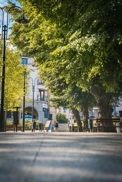 535483971_1356869783112499_2764994445444599915_n