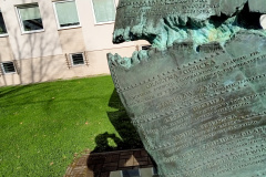 IMG20250410083316
