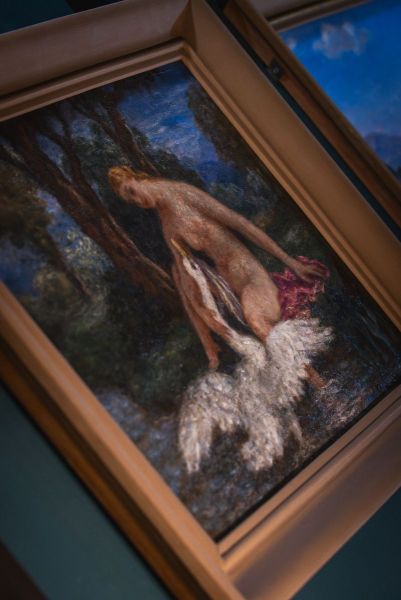 DSC07680-Enhanced-NR