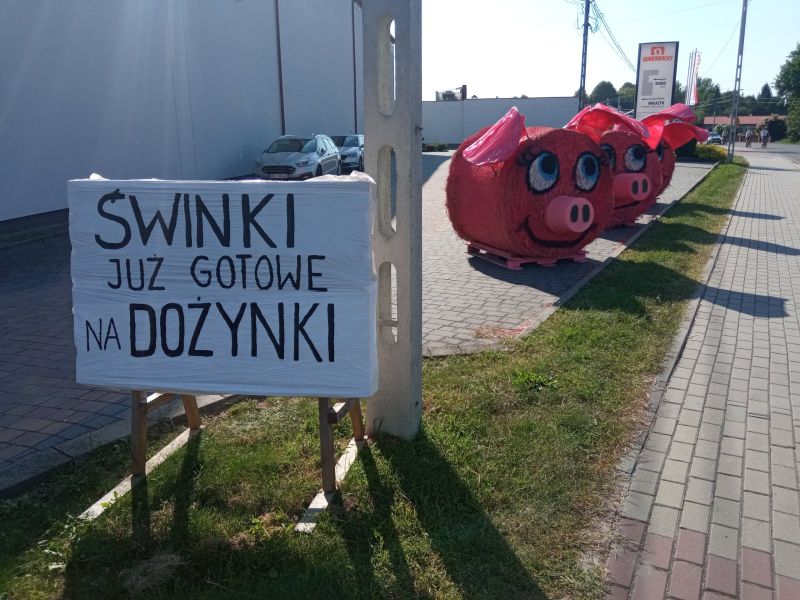 IMG_20250813_160713_1