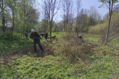IMG_20250422_100103