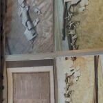 Odnowiono zabytkową bibliotekę Tarnowskich w Dzikowie 9 - Polskie Radio Rzeszów Odnowiono zabytkową bibliotekę Tarnowskich w Dzikowie - Polskie Radio Rzeszów