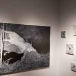 Nuda, życie roślin i sztuka. Niezwykła wystawa w Stalowej Woli (zdjęcia) - Polskie Radio Rzeszów