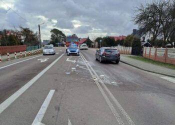 Kierowcy wystraszyli się tłustych plam na&nbsp;drodze. Powodem były śledzie