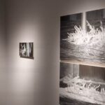 Nuda, życie roślin i sztuka. Niezwykła wystawa w Stalowej Woli (zdjęcia) - Polskie Radio Rzeszów