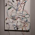 Nuda, życie roślin i sztuka. Niezwykła wystawa w Stalowej Woli (zdjęcia) - Polskie Radio Rzeszów