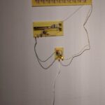 Nuda, życie roślin i sztuka. Niezwykła wystawa w Stalowej Woli (zdjęcia) - Polskie Radio Rzeszów