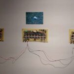 Nuda, życie roślin i sztuka. Niezwykła wystawa w Stalowej Woli (zdjęcia) - Polskie Radio Rzeszów