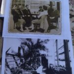 5 milionów złotych na remont oranżerii w Przeworsku - Polskie Radio Rzeszów