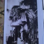 5 milionów złotych na remont oranżerii w Przeworsku - Polskie Radio Rzeszów