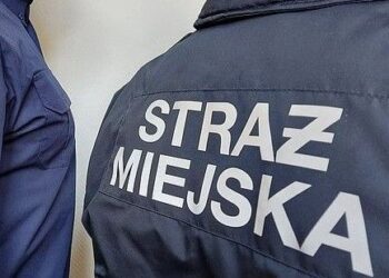 Jarosławski magistrat pyta mieszkańców, czy&nbsp;zlikwidować Straż Miejską