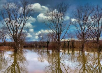 Uwaga na&nbsp;oblodzone drogi. Rzeki mogą przekroczyć stany ostrzegawcze