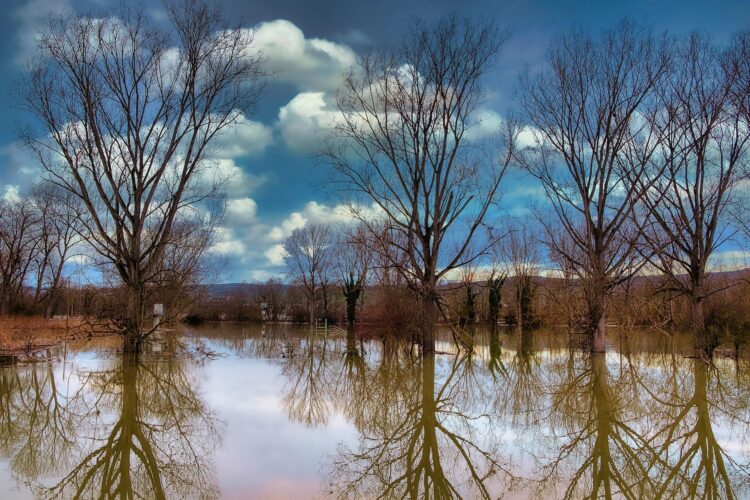 Uwaga na oblodzone drogi. Rzeki mogą przekroczyć stany ostrzegawcze