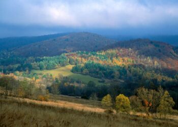 Panoramę Beskidu Niskiego można już podziwiać z&nbsp;wieży widokowej