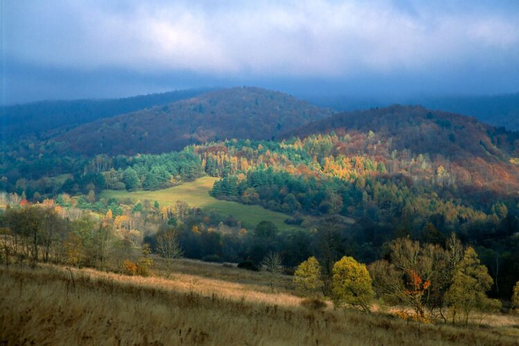 Panoramę Beskidu Niskiego można już podziwiać z wieży widokowej