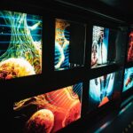 Projekt "Iskry niepodległej" w Przemyślu 6 - Polskie Radio Rzeszów Projekt "Iskry niepodległej" w Przemyślu - Polskie Radio Rzeszów