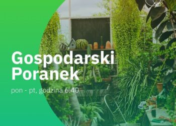 Gospodarski poranek 11