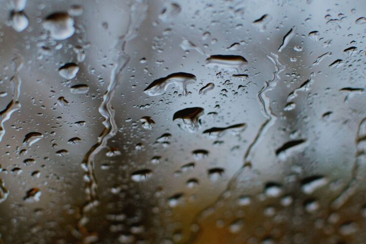 Rzeszów zachęca do zbierania deszczówki. Na realizację jest 150 tys. złotych