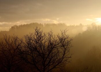 Smog na Podkarpaciu. W Rzeszowie normy przekroczone czterokrotnie