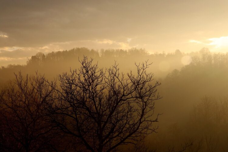 Pulmonolog: smog jest jednym z największych zagrożeń dla układu oddechowego 1 - Polskie Radio Rzeszów Smog na Podkarpaciu. W Rzeszowie normy przekroczone czterokrotnie